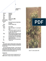 Poncosodo PDF