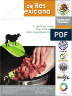 Manual Carne de Res Mexicana