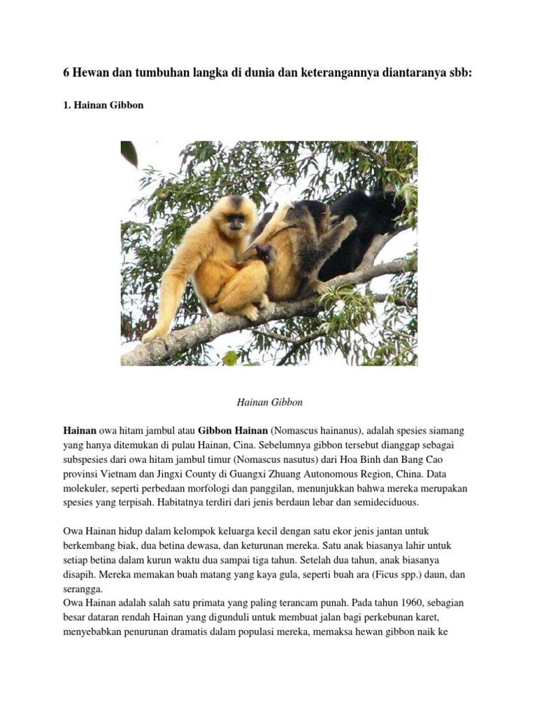 620+ Gambar Binatang Langka Dan Keterangannya Gratis