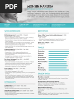 Freelance Graphic & Web Designer Resume 