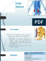 Insuficiencia Renal Crónica