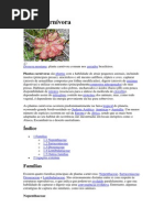 Planta carnívora