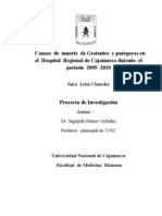 Proyecto de Investigacion Trabajo