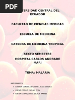 Download Malaria by Gabriela Correa G SN21348277 doc pdf