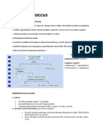 Staphylococcus