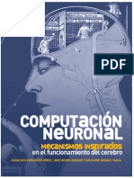 Computación Neuronal