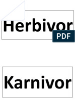 Herbivor, Omnivor and Karnivor