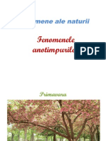 56078057 Fenomene Ale Naturii