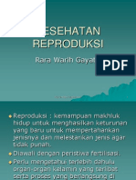 Kesehatan Reproduksi