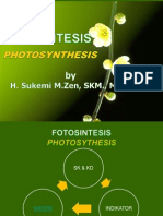 fotosintesis-elearning