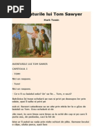 Aventurile Lui Tom Sawyer