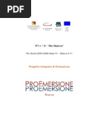 PIT31Ricerca1