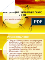 DHF (Dengue Haemoragic Fever)