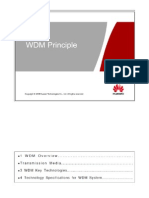 WDM Principle