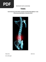 Download Seminarski Rad Iz Anatomije by Azra Basic SN213521285 doc pdf