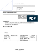 Formato PEI y Planificación