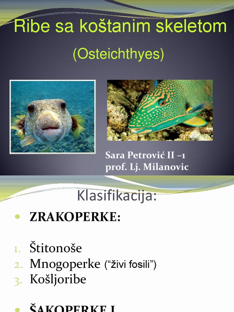 15ribe Sa Kostanim Skeletom | PDF
