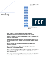 Biological Hierarchy