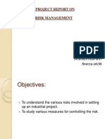 A Project Report On Risk Management: Submitted By: Sravya Sri.m