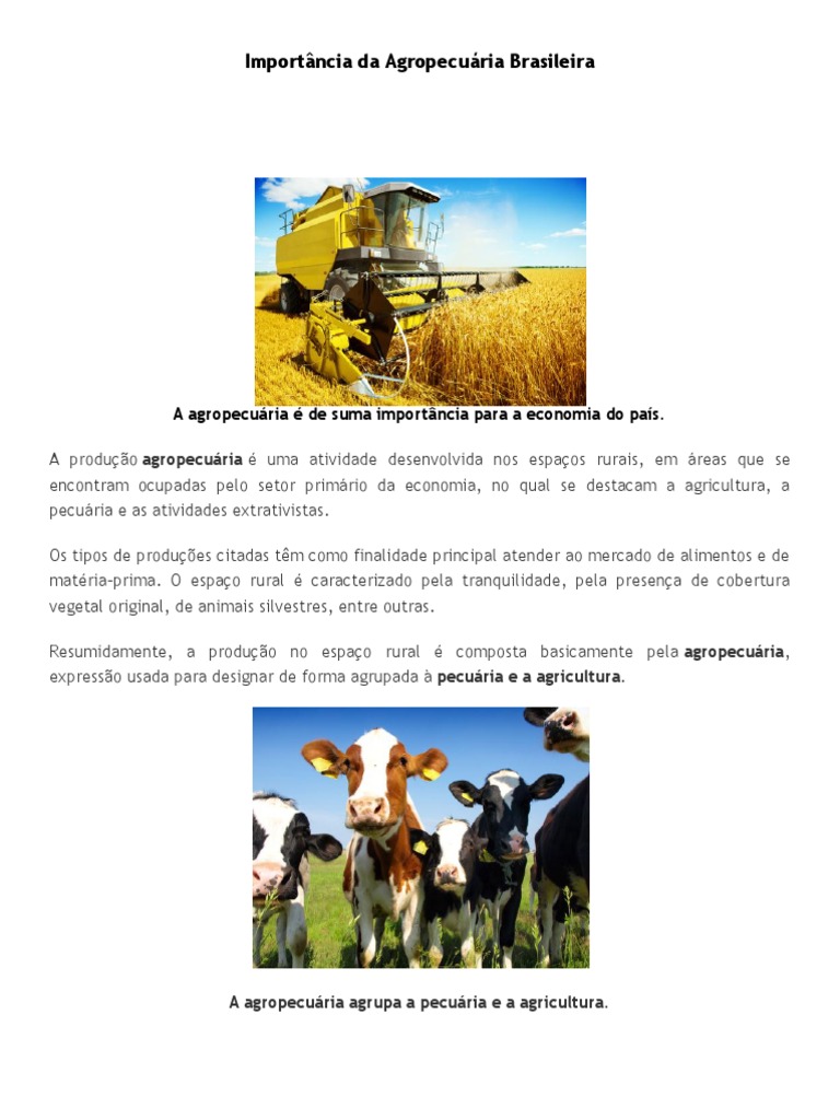 Importância da Agropecuária no Brasil | PDF | Economia | Brasil