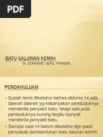 Download Batu Saluran Kemih by Afri Adi SN213581757 doc pdf