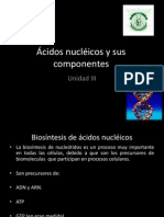 3.-Ácidos Nucléicos y Sus Componentes