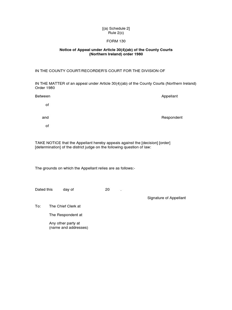 Notice of Appeal Form for County Court | PDF