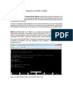 Reporte de DNS y WEB