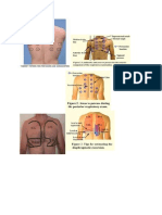 gambar pemeriksaan fisik