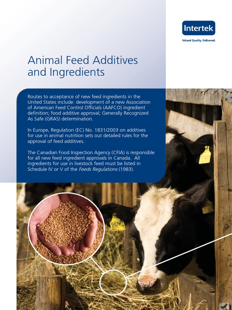 Animal Feed Additives and Regulations | PDF | Safety | Livestock