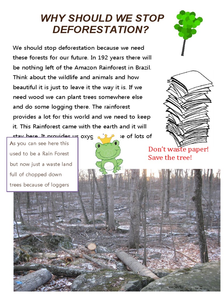 why should we stop deforestation essay