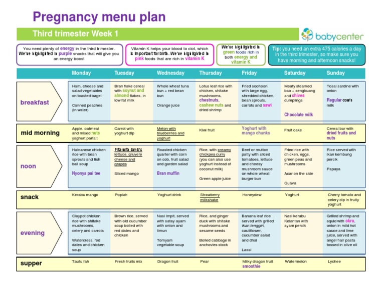 Pregnancy Meal Planner 3rd Tri Wk1MY | Salad | Fruit