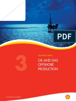 Oil and Gas Offshore Production