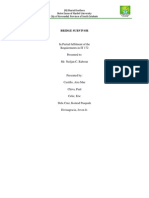 Bridge Survivor: in Partial Fulfilment of The Requirements in IT 172 Presented To: Mr. Neiljan C. Raborar