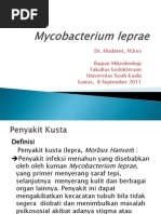 Download Mycobacterium leprae by Andy Roe SN213684478 doc pdf