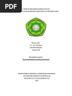 Download Pemeriksaan Hb Sahli by Ayu Tirtamara SN213717489 doc pdf