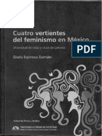 Gisela Espinosa Feminismo Civil