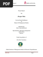 APEX AUTO LTD Final Report.