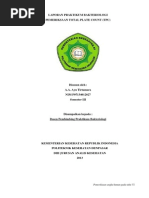 Download Total Plate Count Tpc by Ayu Tirtamara SN213721062 doc pdf