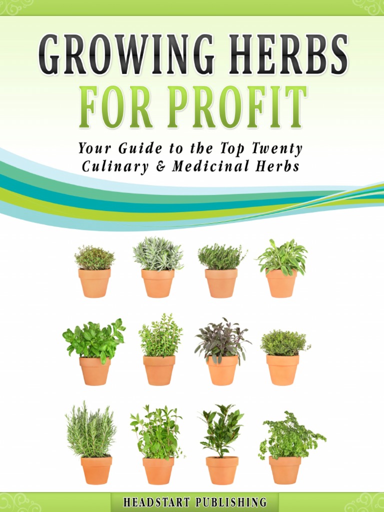 Growing Herbs For Profit PDF Mentha Herbalism
