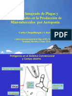 Control Integrado de Plagas y Enfermedades en La Producción de Mini-Tubérculos Por Aeroponia