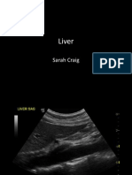 Liver Protocol