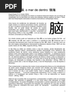 Cerebro,o mar de dentro