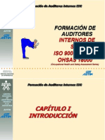 fORMACION AUDITORES