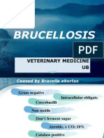 Brucellosis Desease