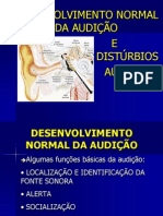 Slides Sobre A Audição