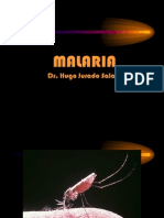 Malaria Universidad