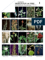 123 Medicinal Plants-Peru