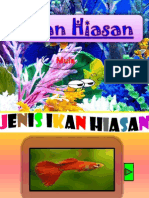 Ikan Hiasan Observe