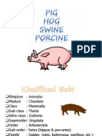 Pig